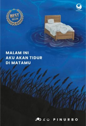 Malam ini Aku Akan Tidur di Matamu